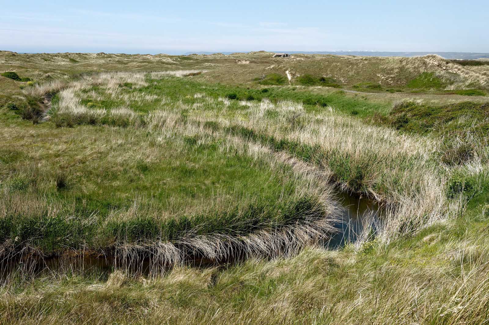 Les dunes de Biville couvrent plus de 700 hectares du littoral de la Hague (Manche), entre le cap de Flamanville et les falaises d’Herqueville. Elles constituent un massif naturel exceptionnel, tant par la qualité de ses paysages que sa richesse botanique.