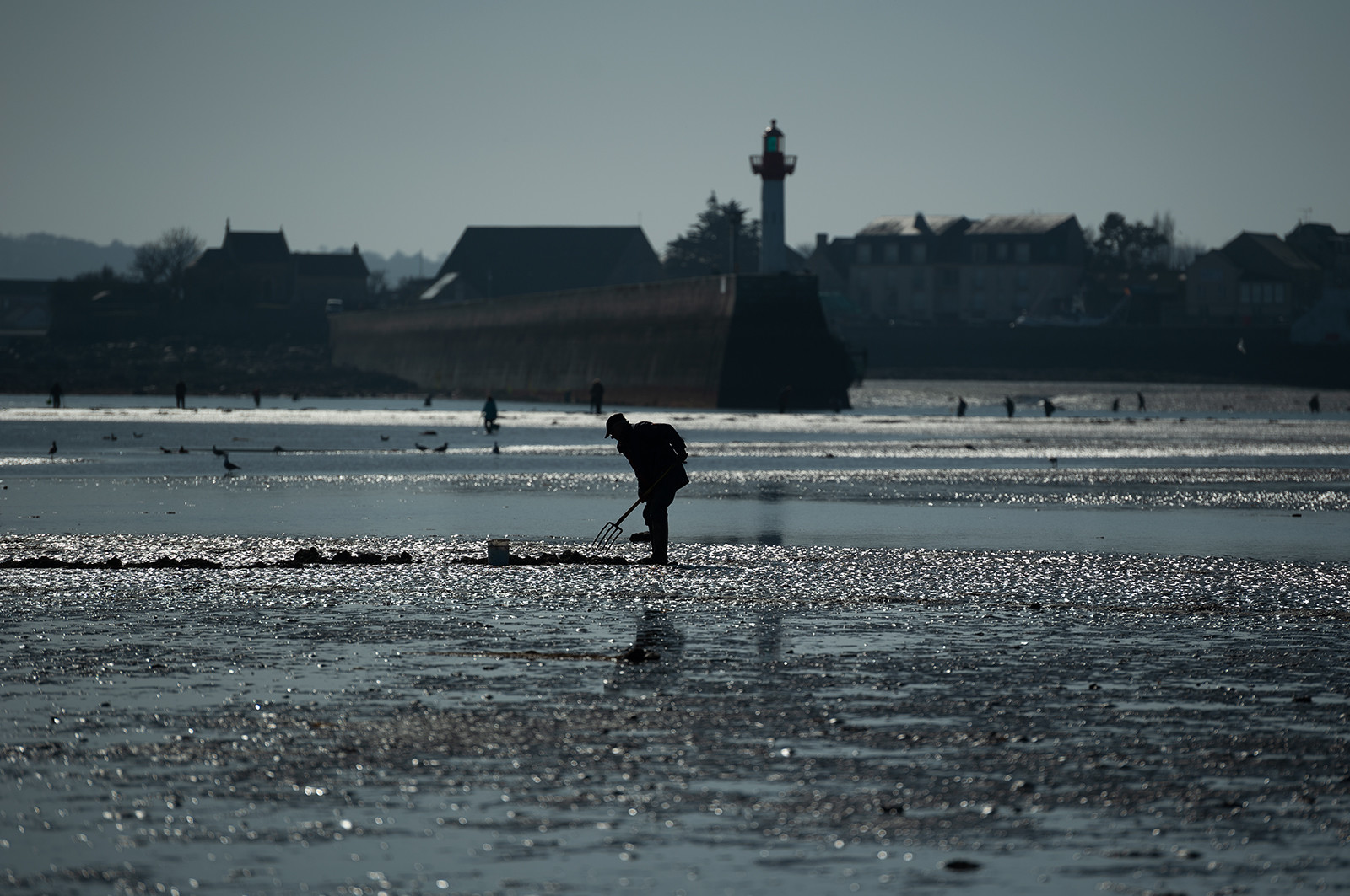 Les parcs à huîtres de Saint-Vaast-la-Hougue (Cotentin)