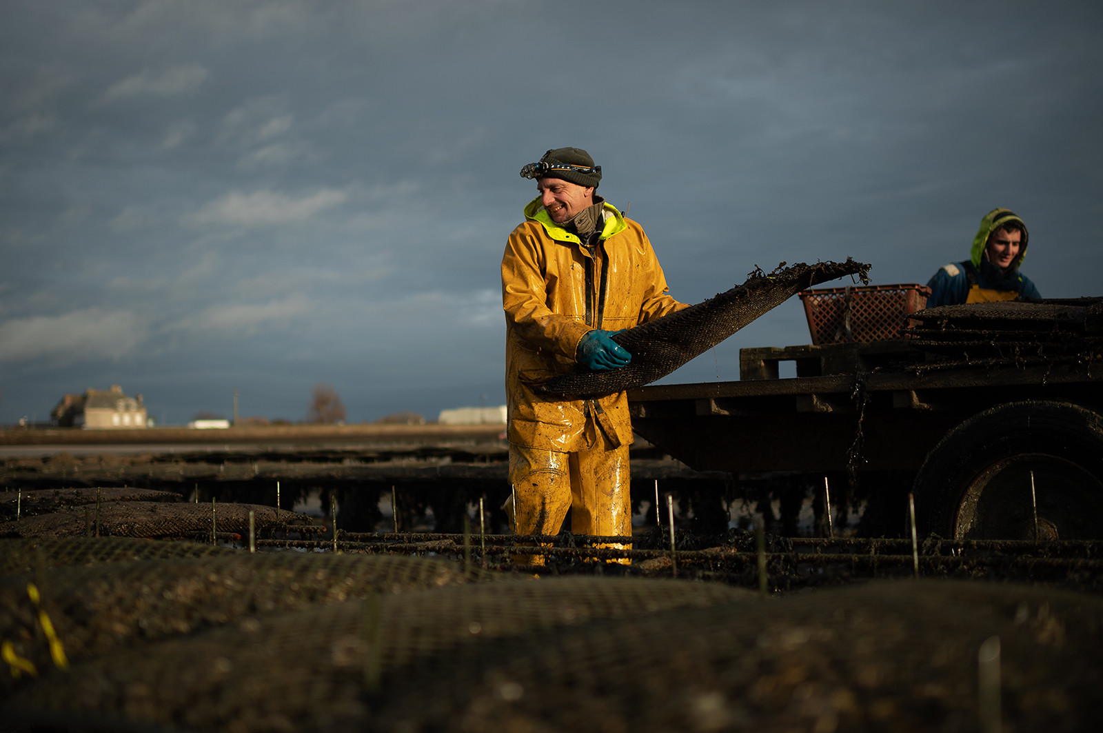 Les parcs à huîtres de Saint-Vaast-la-Hougue (Cotentin)