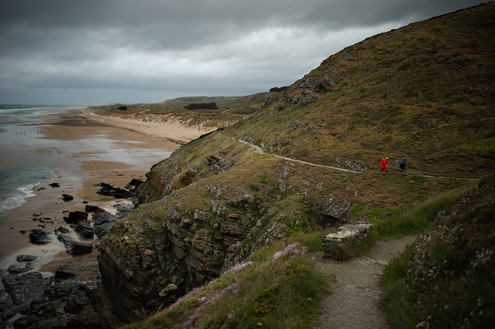 La Presqu'île du Cotentin