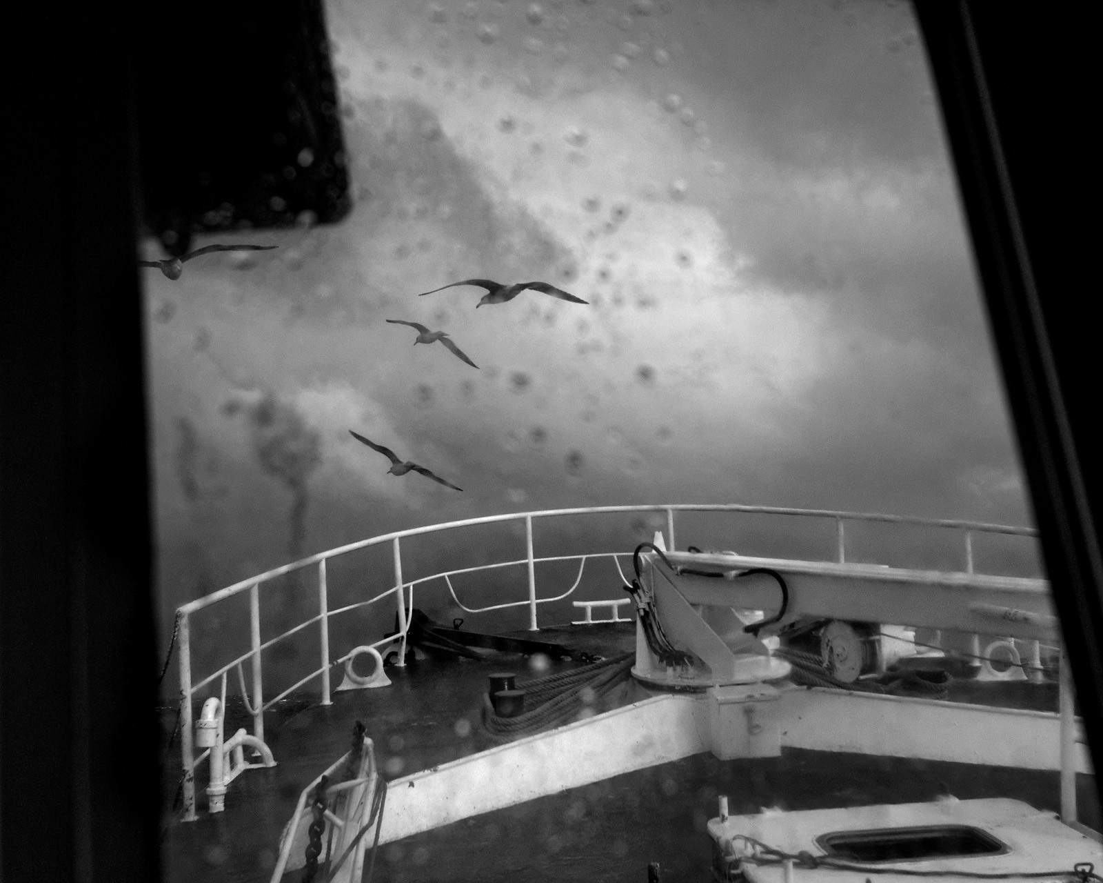 Marin pêcheur.. Deux mots qui suscitent tant de sentiments divers chez les gens de terre... Respect, admiration pour cette liberté, ce courage, mais aussi souvent peur et angoisse. Sont-ils fous ou désepérés pour risquer ainsi leurs vies quotidiennement ? Non, justes passionnés par leur métier, la mer est leur grande histoire d'amour.Le salaire de la peur des forcats de la mer, le journaliste avait raison.Ces photographies réalisées au cours de plusieurs marées à bord du Yannick, chalutier cherbourgeois, vous décrivent l'histoire d'un navire, d'un équipage, d'une famille. Vous embarquez à leurs côtés et découvrez leurs conditions de travail, la tempête, la fatigue, et, au détour d'une image, un sourire.Sophie LeroyDirectice de l'Armement Cherbourgeois