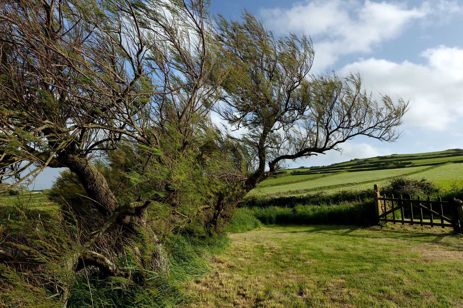 La Hague (Cotentin)