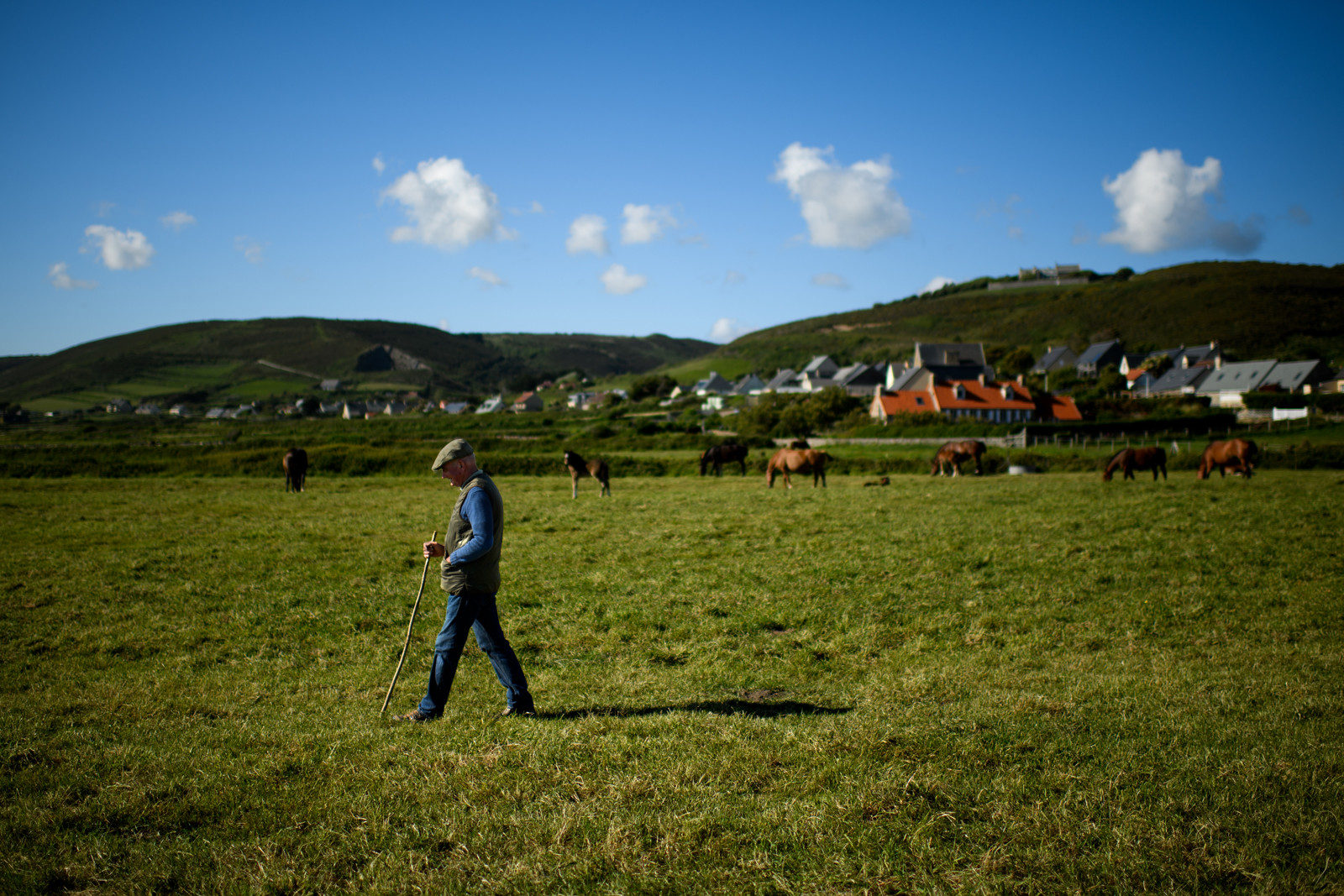 Reportage Des Racines et Des Ailes (mai 2023)