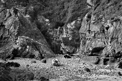 Antoine Soubigou Photographe