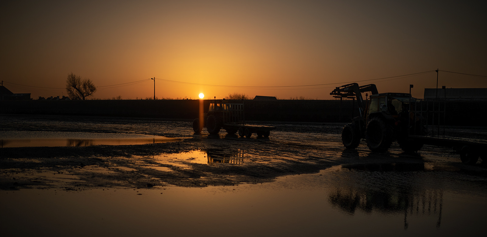 Les parcs à huîtres de Saint-Vaast-la-Hougue (Cotentin)