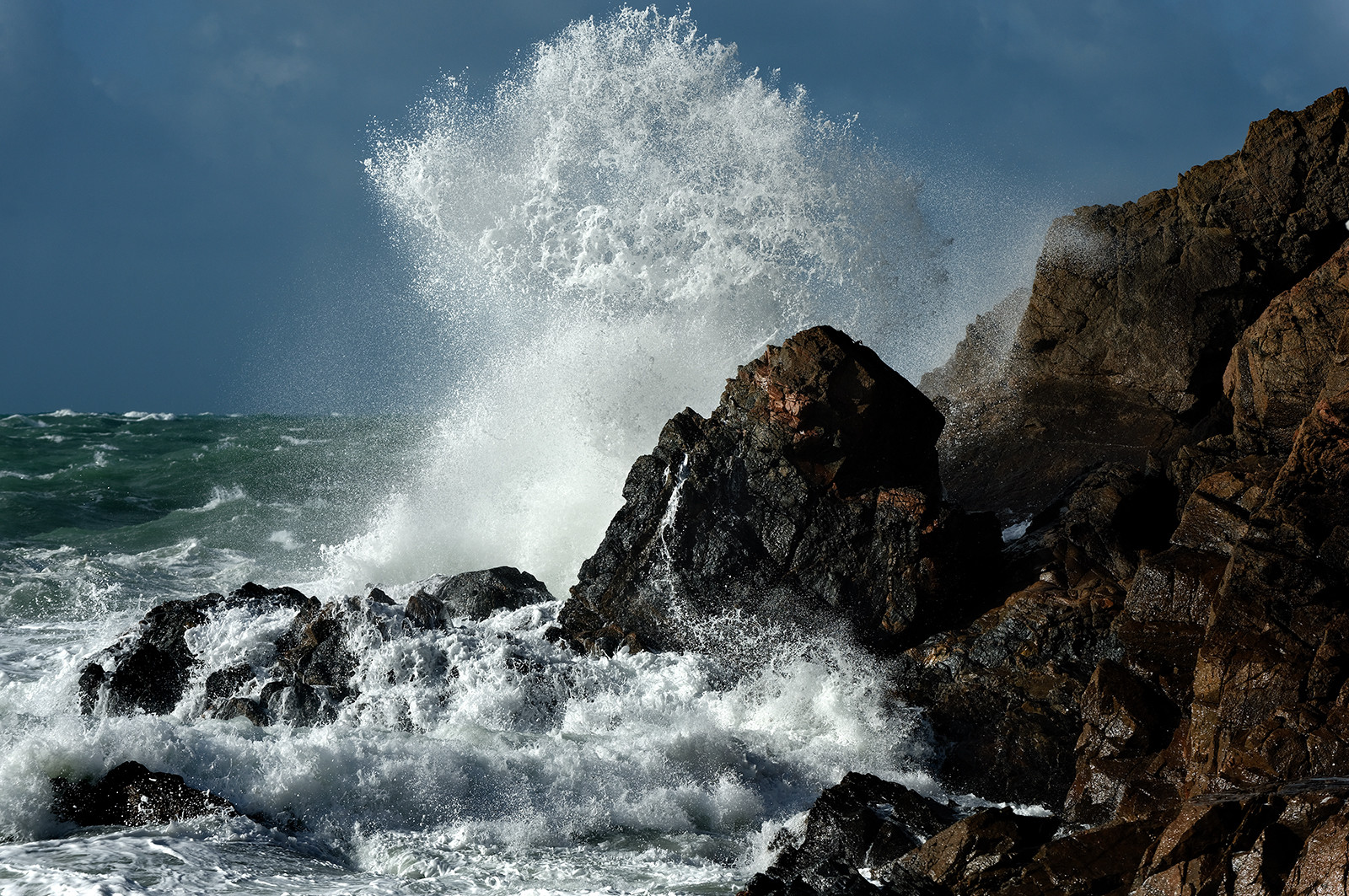 La Hague. A l'épreuve du temps [Exposition au Manoir du Tourp]