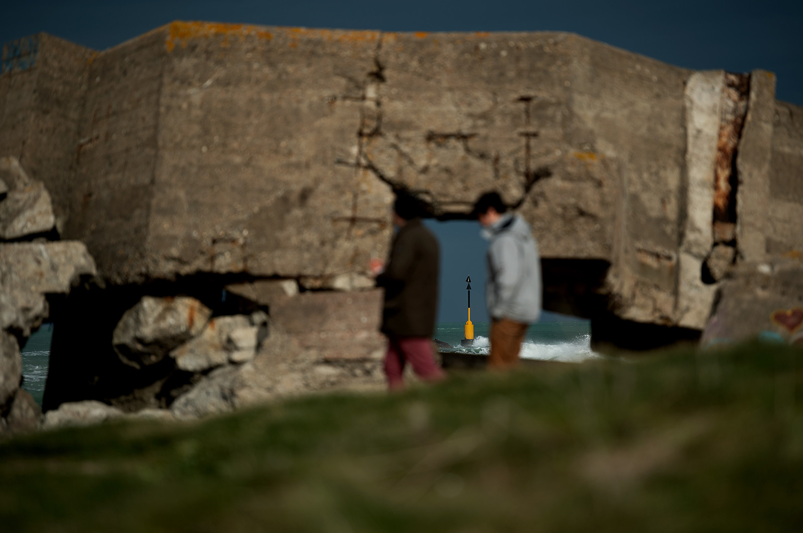 La Presqu'île du Cotentin