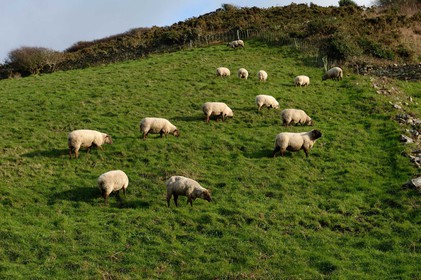 La Hague (Cotentin)