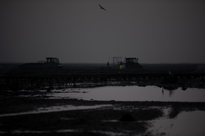 Les parcs à huîtres de Saint-Vaast-la-Hougue (Cotentin)