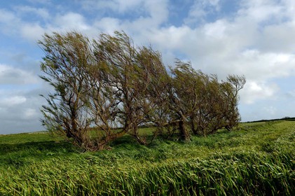 La Hague (Cotentin)