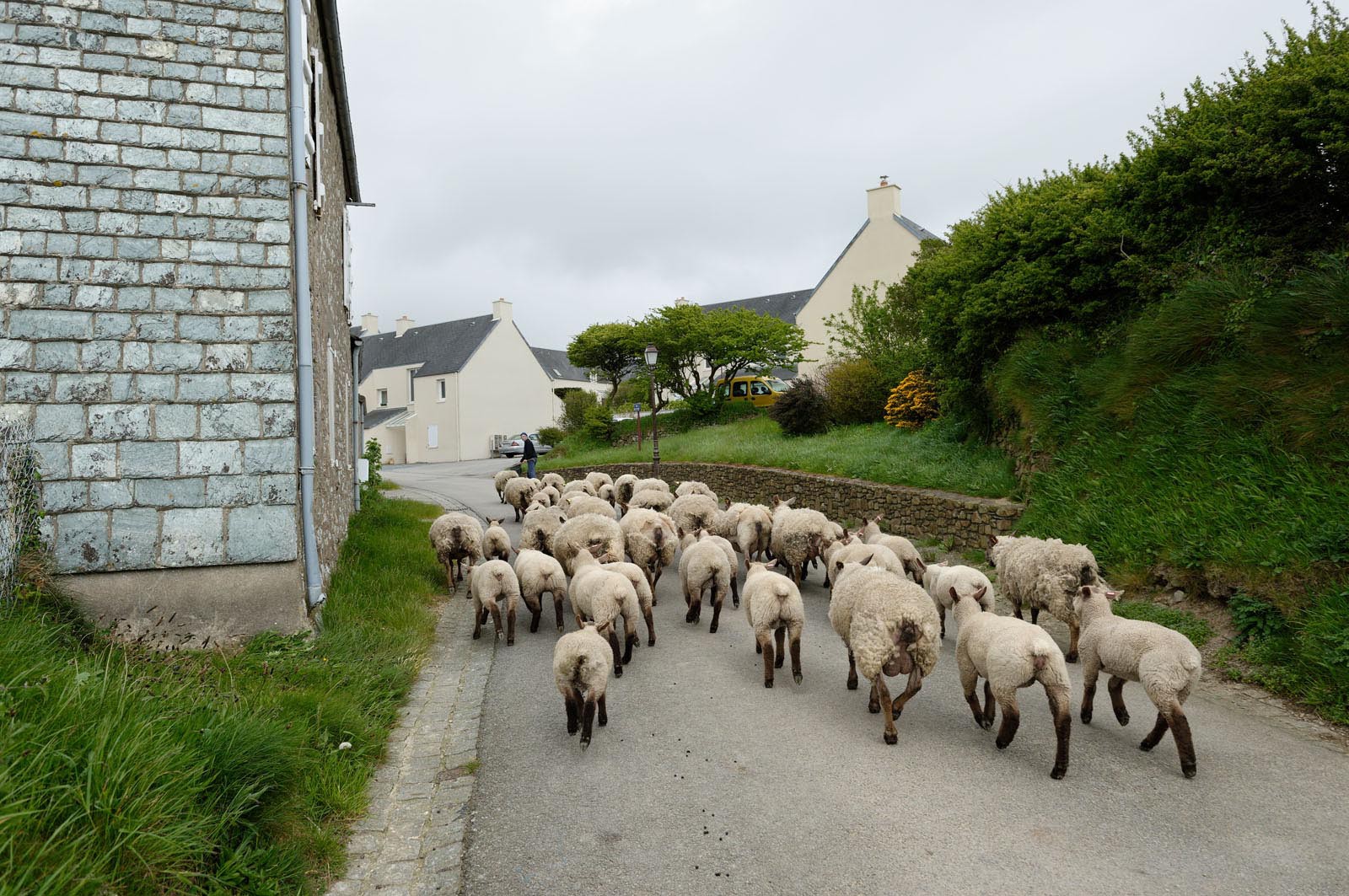 La Hague (Cotentin)