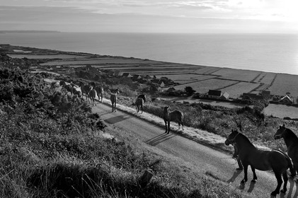 Antoine Soubigou Photographe