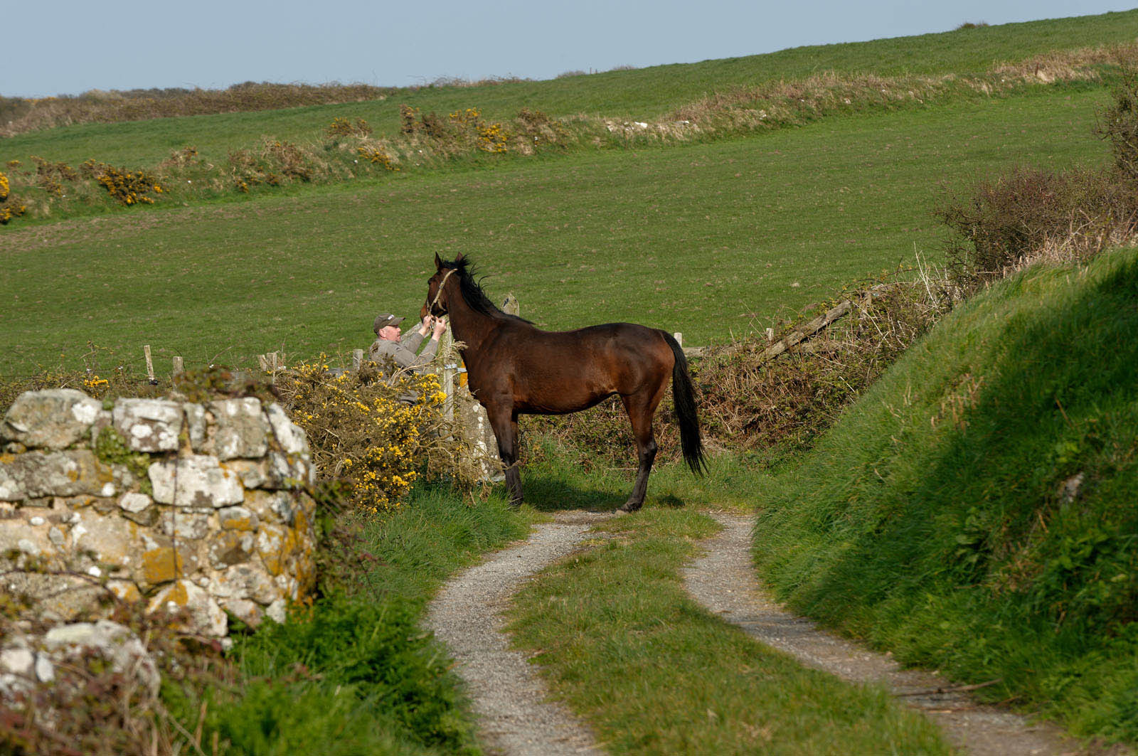 La Hague (Cotentin)