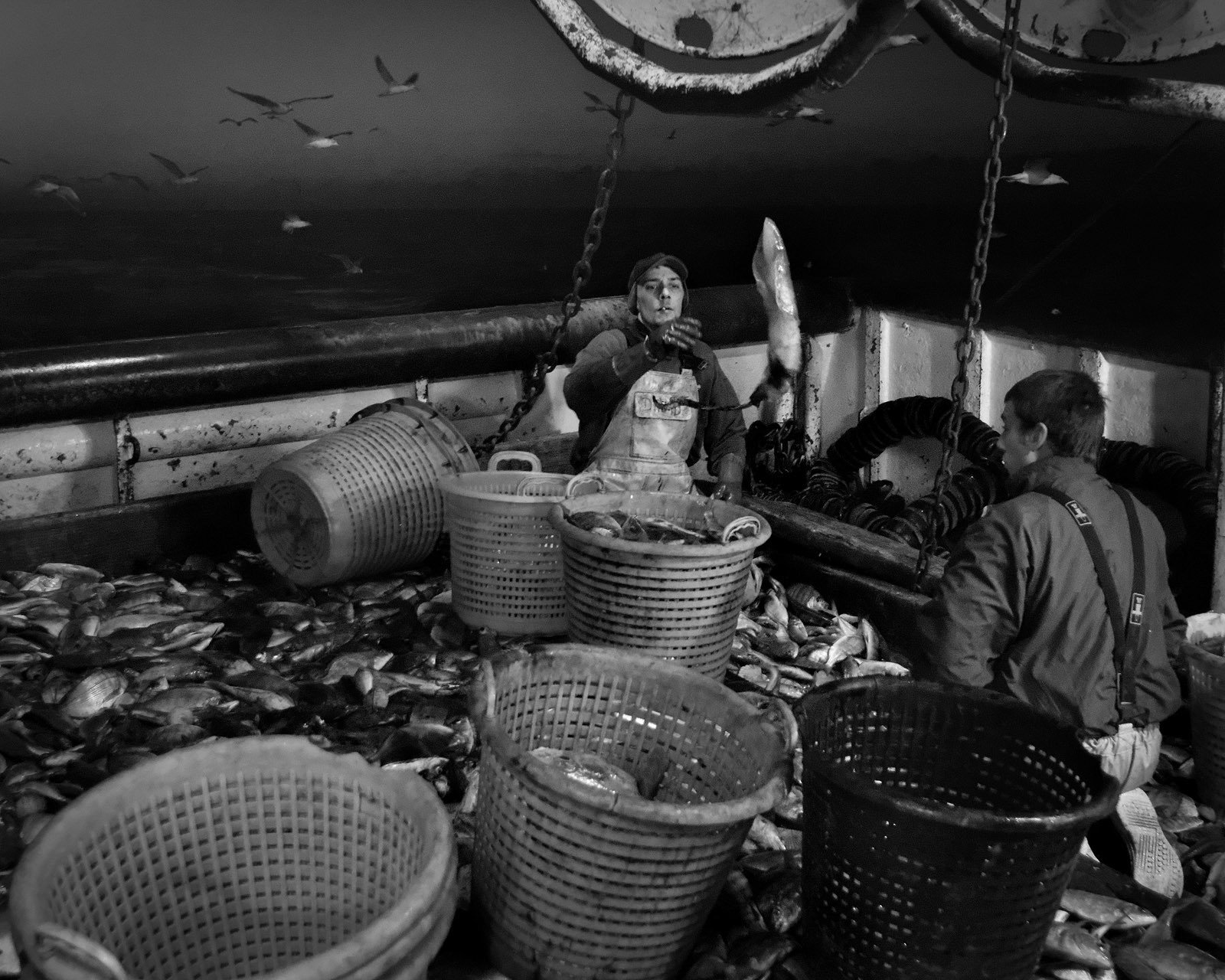 Marin pêcheur.. Deux mots qui suscitent tant de sentiments divers chez les gens de terre... Respect, admiration pour cette liberté, ce courage, mais aussi souvent peur et angoisse. Sont-ils fous ou désepérés pour risquer ainsi leurs vies quotidiennement ? Non, justes passionnés par leur métier, la mer est leur grande histoire d'amour.Le salaire de la peur des forcats de la mer, le journaliste avait raison.Ces photographies réalisées au cours de plusieurs marées à bord du Yannick, chalutier cherbourgeois, vous décrivent l'histoire d'un navire, d'un équipage, d'une famille. Vous embarquez à leurs côtés et découvrez leurs conditions de travail, la tempête, la fatigue, et, au détour d'une image, un sourire.Sophie LeroyDirectice de l'Armement Cherbourgeois