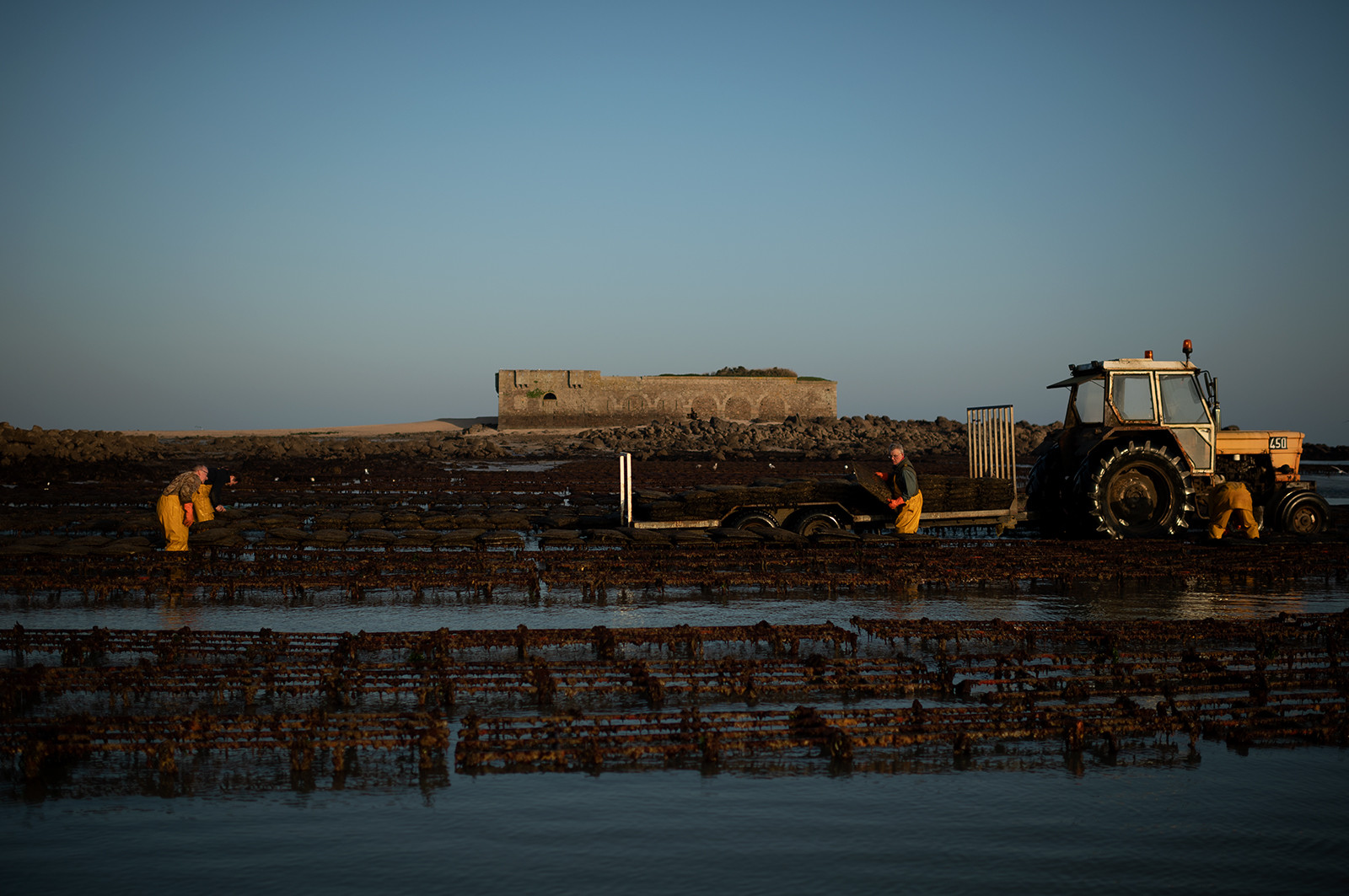 Les parcs à huîtres de Saint-Vaast-la-Hougue (Cotentin)