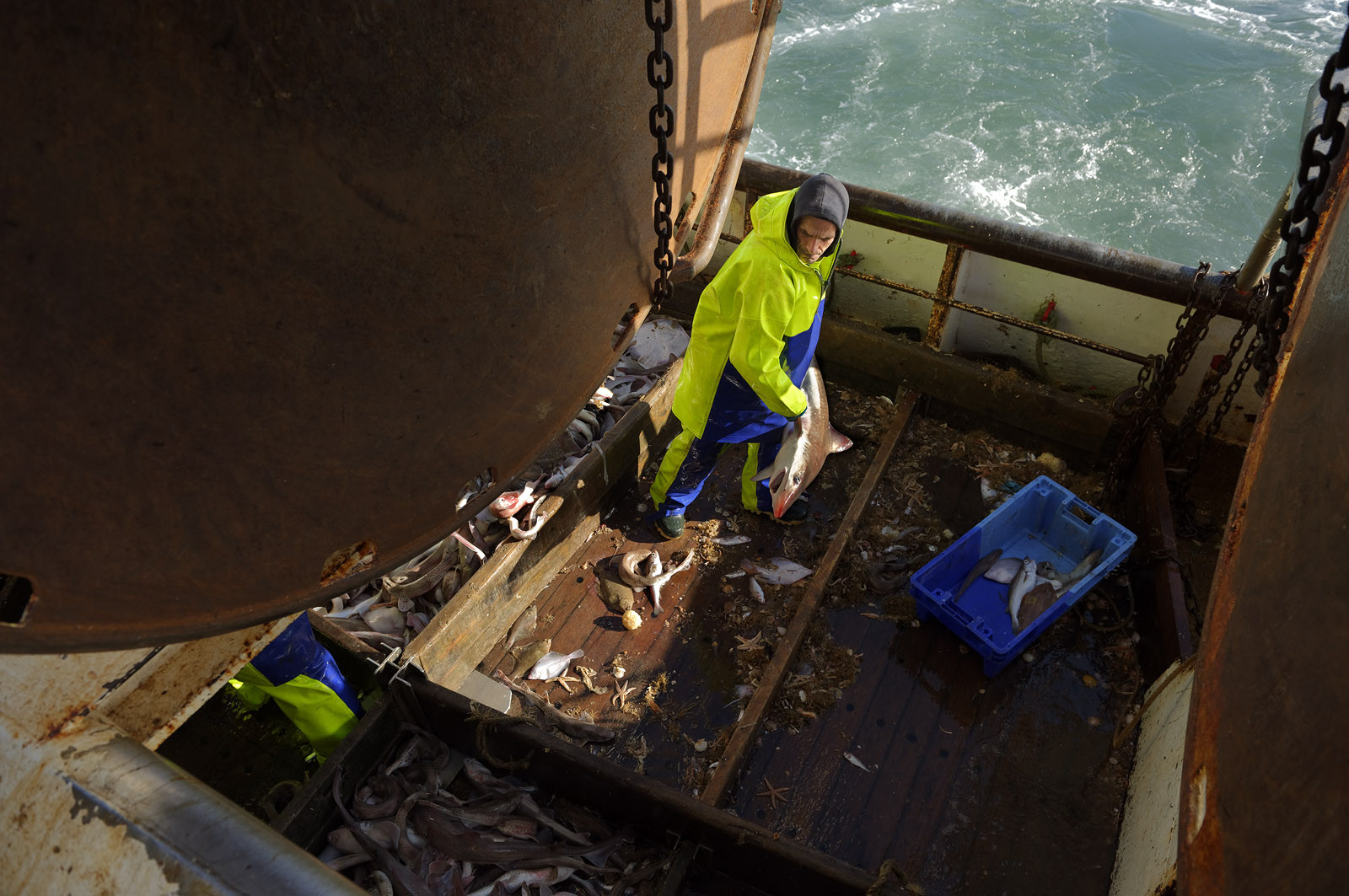 Ce reportage a été réalisé en janvier 2014 à bord du chalutier Marie-Catherine, appartenant à la SARL Armement Cherbourgeois créé en 1999 par Sophie et David LEROY. Cette marée de 7 jours fût assez mouvementée d'une part par la météo très capricieuse, mais également par la difficulté de réaliser les prises de vues. Une sélection de 20 photographies a été présentée lors de la 4ème édition du Festival photo L'Homme et la Mer au Guilvinec (Bretagne) en 2014, ainsi qu'au Musée de Tatihou 'Avis de grand frais (Manche) http:  www.armement-cherbourgeois.fr 