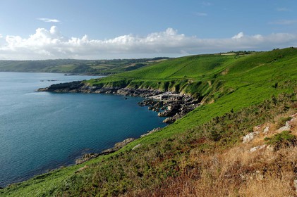 Le village d’Omonville la Rogue, situé sur la route côtière qui relie Cherbourg au cap de la Hague, s’étire au creux d’un vallon. Ses nombreuses petites rues et ruelles, sont bordées de solides maisons de granit, souvent couvertes en pierre.Les promenades conduisent bien souvent vers le Hâble, nom donné au port, un des plus beaux et des plus anciens de la région, dominé par un fort datant du début du XV siècle,