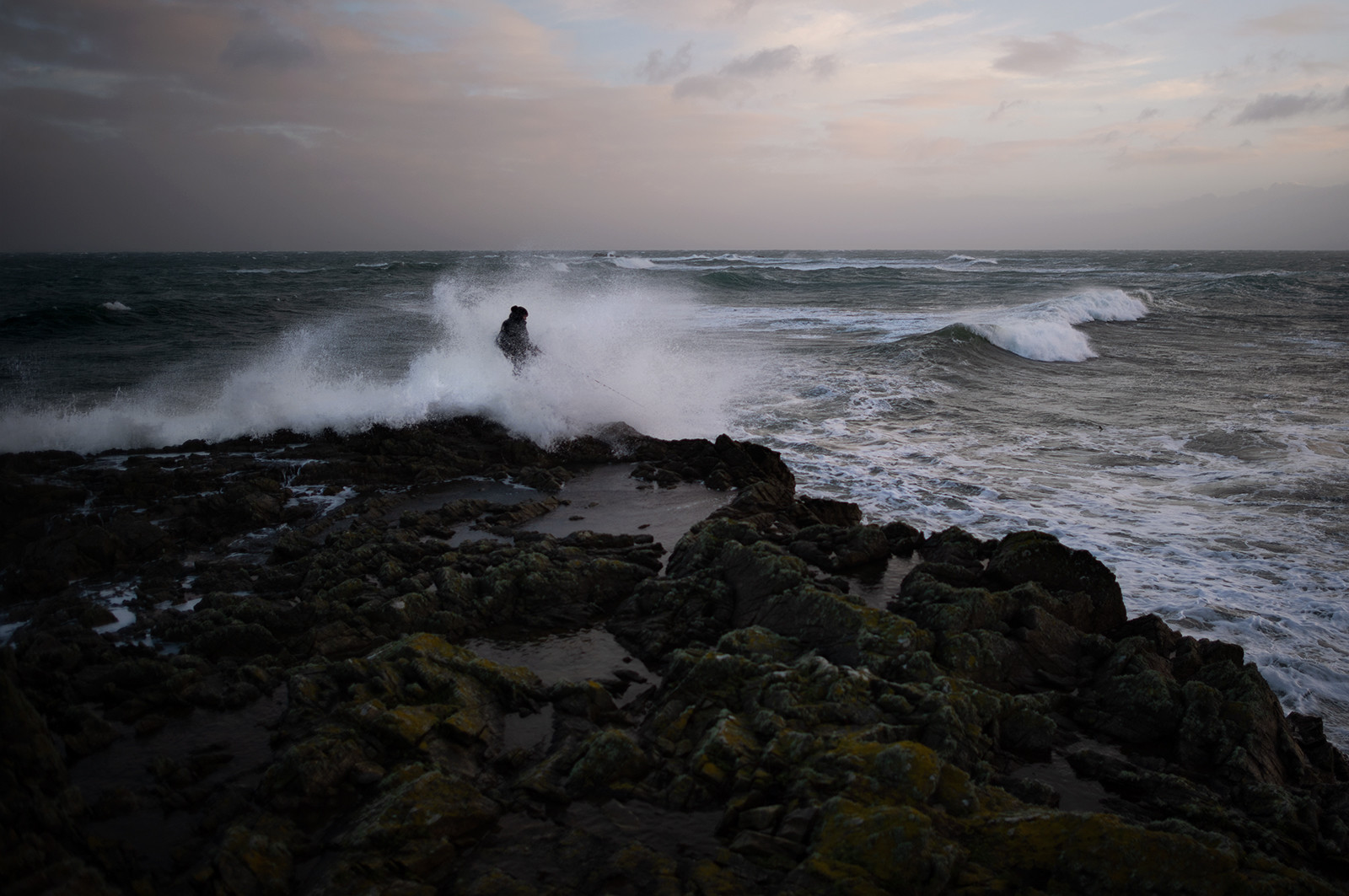 La Presqu'île du Cotentin