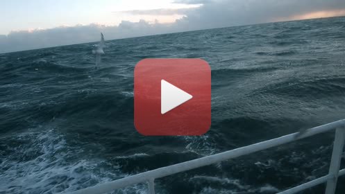 Chalutier Marie-Catherine (Hiver 2014)