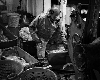 Marin pêcheur.. Deux mots qui suscitent tant de sentiments divers chez les gens de terre... Respect, admiration pour cette liberté, ce courage, mais aussi souvent peur et angoisse. Sont-ils fous ou désepérés pour risquer ainsi leurs vies quotidiennement ? Non, justes passionnés par leur métier, la mer est leur grande histoire d'amour.Le salaire de la peur des forcats de la mer, le journaliste avait raison.Ces photographies réalisées au cours de plusieurs marées à bord du Yannick, chalutier cherbourgeois, vous décrivent l'histoire d'un navire, d'un équipage, d'une famille. Vous embarquez à leurs côtés et découvrez leurs conditions de travail, la tempête, la fatigue, et, au détour d'une image, un sourire.Sophie LeroyDirectice de l'Armement Cherbourgeois