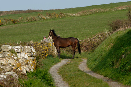 La Hague (Cotentin)
