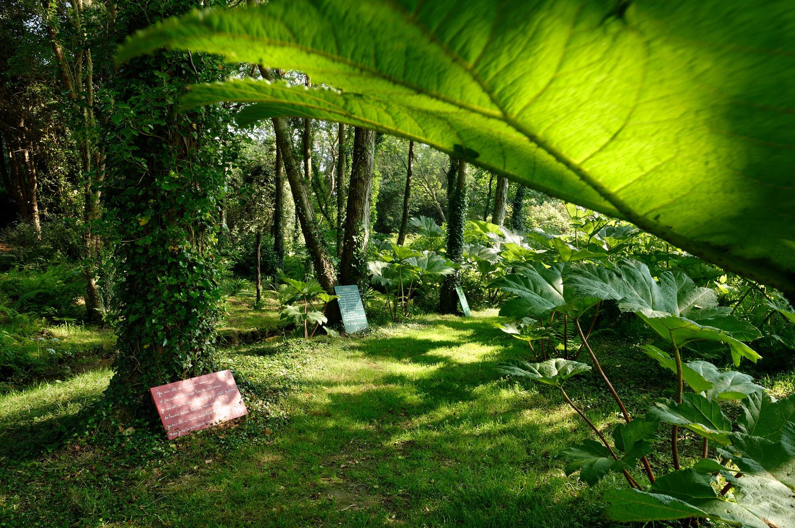 En hommage au poète, ses amis dont Gérard Fusberti, propriétaire du terrain et gardien du temple, décident de créer un jardin où chacun plantera son arbre ou laissera une de ses créations. Montand, Reggiani, Greco ou Mouloudji plantèrent chacun leur double végétal lors de la célébration du dixième anniversaire de la mort de Prévert, un eucalyptus aujourd'hui haut d'au moins 20 mètres pour Mouloudji.Se balader dans ce jardin, c'est pénétrer dans l'univers du poète. Au milieu des arbres d'ornement, des bambous peints de rouge vif, des arbres fruitiers, des camélias, des azalées, des gunneras (que Prévert adorait) et des hortensias, des œuvres d'art se révèlent ça et là, tantôt un portrait, tantôt une sculpture ou une installation. Des arbres peints prennent vie, une main rouge semblant sortir de leur entrailles, le ruisseau qui coule en cascade murmure une douce poésie, que l'on retrouve en quelques phrases inscrites sur des plaques qui surgissent au milieu de cette jungle organisée. (Saint-Germain-des-Vaux Manche)