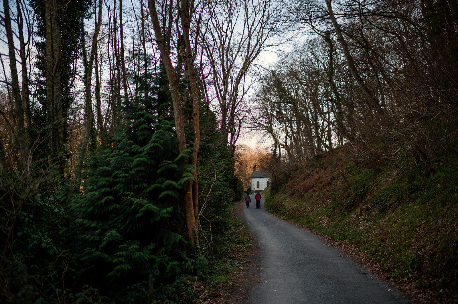 La Presqu'île du Cotentin