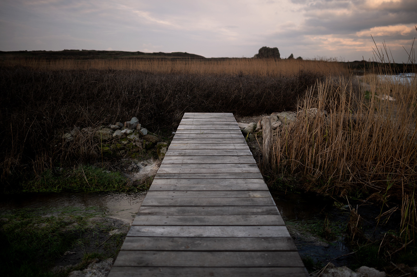 La Presqu'île du Cotentin