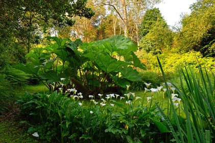 En hommage au poète, ses amis dont Gérard Fusberti, propriétaire du terrain et gardien du temple, décident de créer un jardin où chacun plantera son arbre ou laissera une de ses créations. Montand, Reggiani, Greco ou Mouloudji plantèrent chacun leur double végétal lors de la célébration du dixième anniversaire de la mort de Prévert, un eucalyptus aujourd'hui haut d'au moins 20 mètres pour Mouloudji.Se balader dans ce jardin, c'est pénétrer dans l'univers du poète. Au milieu des arbres d'ornement, des bambous peints de rouge vif, des arbres fruitiers, des camélias, des azalées, des gunneras (que Prévert adorait) et des hortensias, des œuvres d'art se révèlent ça et là, tantôt un portrait, tantôt une sculpture ou une installation. Des arbres peints prennent vie, une main rouge semblant sortir de leur entrailles, le ruisseau qui coule en cascade murmure une douce poésie, que l'on retrouve en quelques phrases inscrites sur des plaques qui surgissent au milieu de cette jungle organisée. (Saint-Germain-des-Vaux Manche)