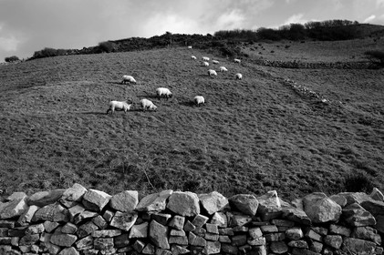 Antoine Soubigou Photographe