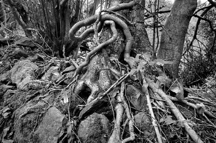 Antoine Soubigou Photographe